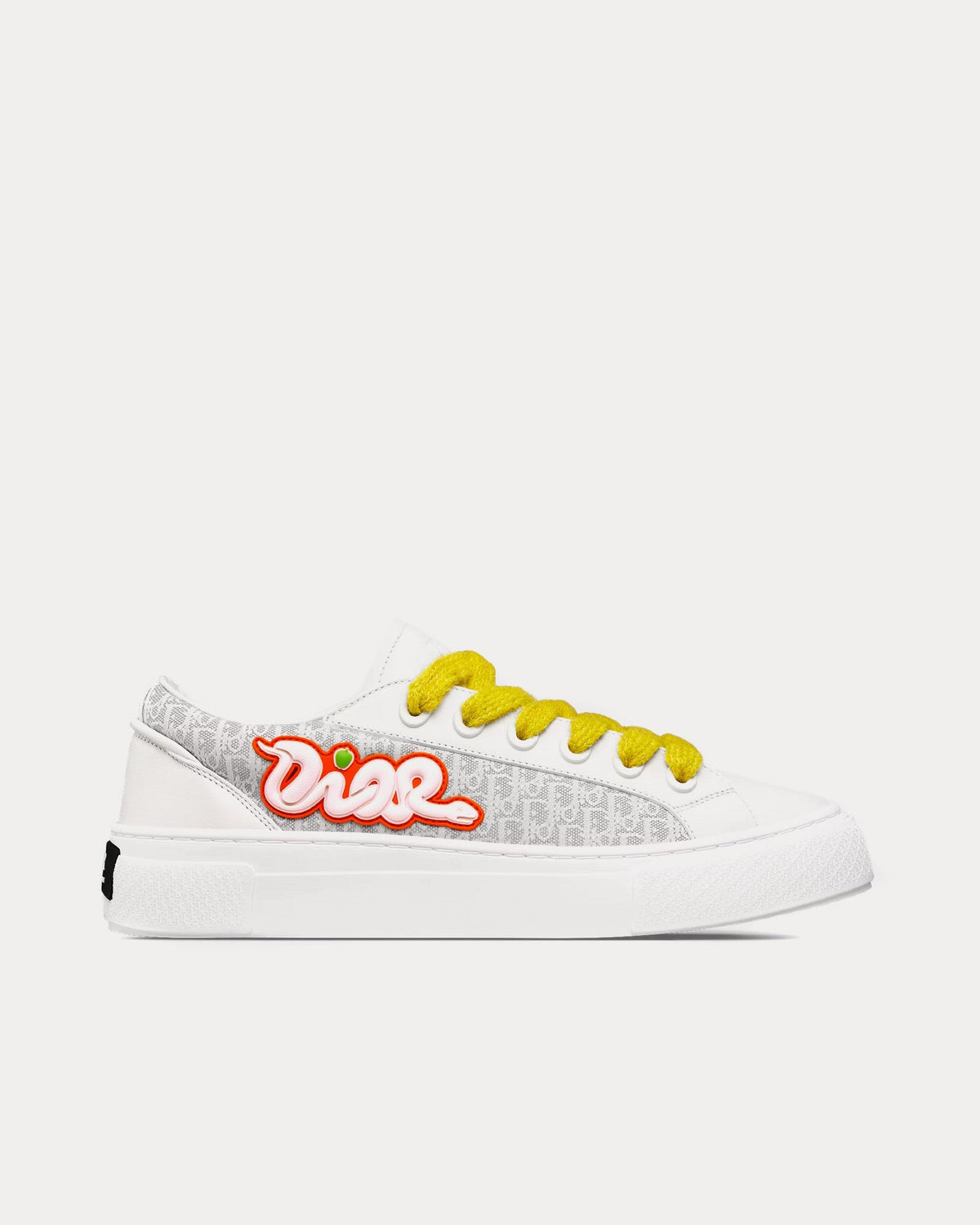 B33 Calfskin & Dior Oblique Canvas White / Grey Low Top Sneakers