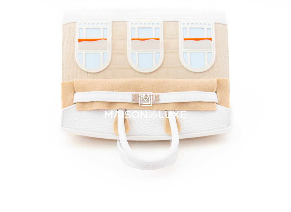 Neige Faubourg Birkin 20 White Matte Alligator Handbag