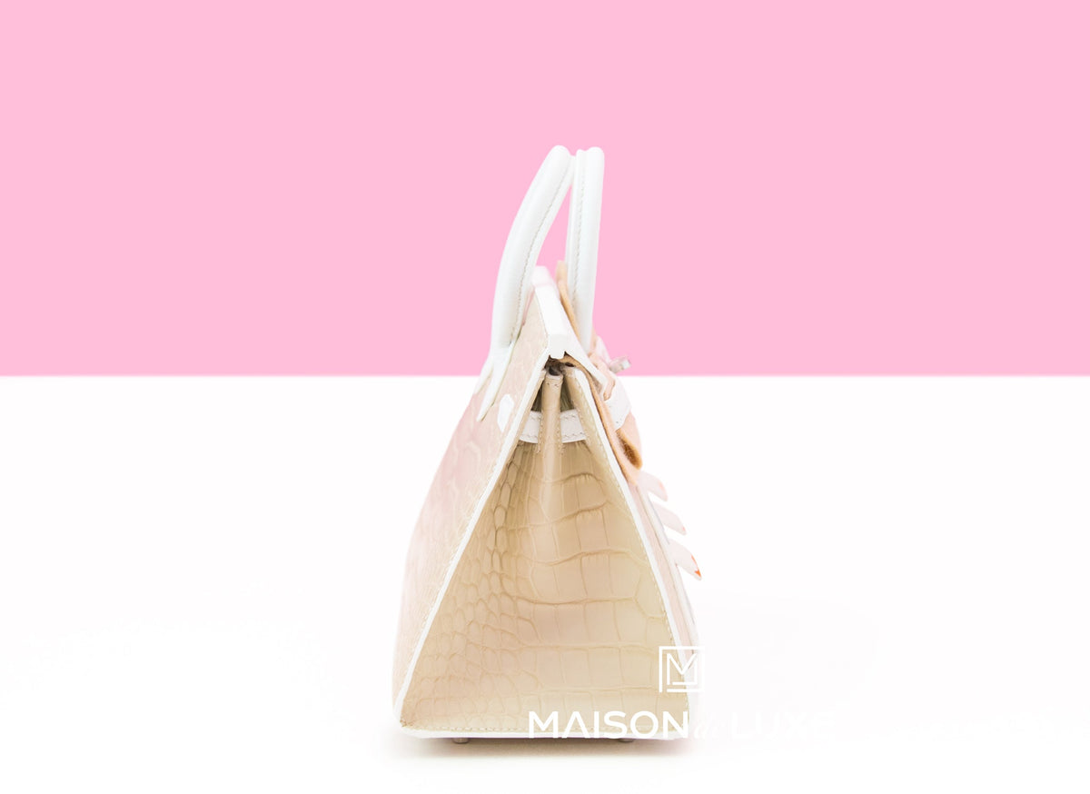 Neige Faubourg Birkin 20 White Matte Alligator Handbag