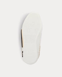 B23 Skater Cream Dior Oblique Jacquard Low Top Sneakers