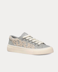 B33 Gray Smooth Calfskin with Cream Dior Oblique Raised Embroidery Low Top Sneakers