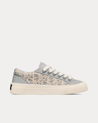 B33 Gray Smooth Calfskin with Cream Dior Oblique Raised Embroidery Low Top Sneakers