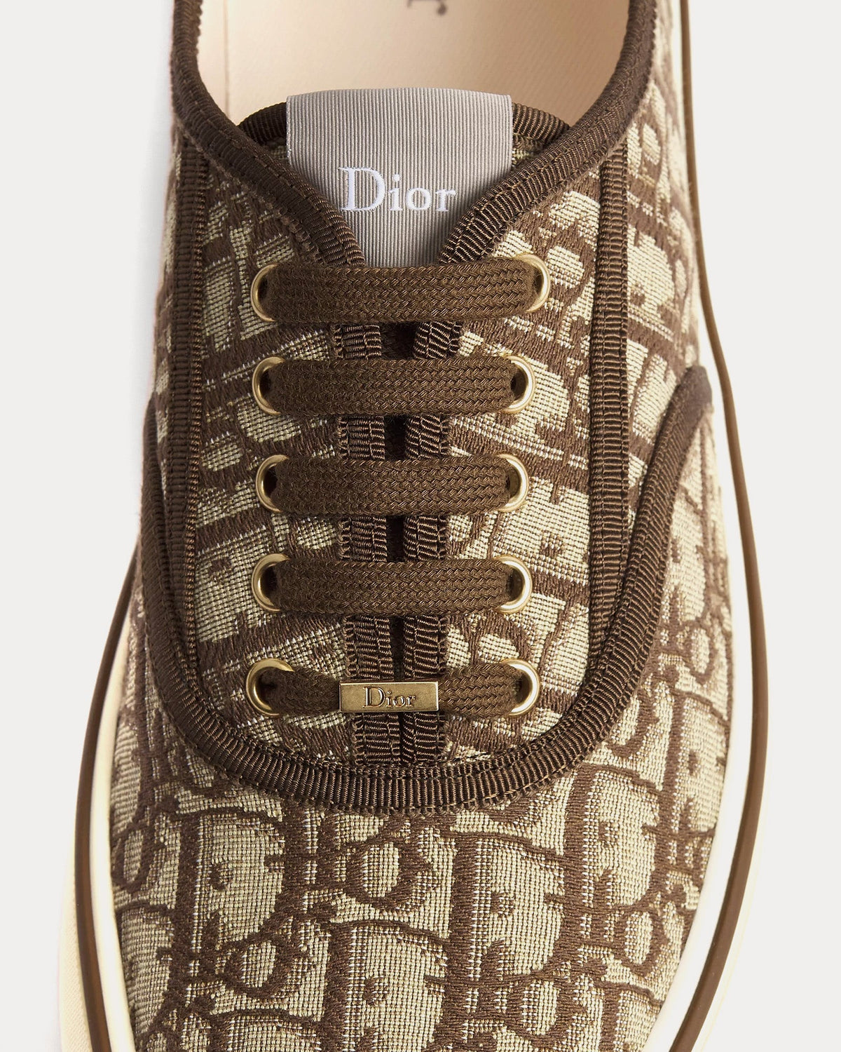 Saltwind in Dior Oblique Jacquard Brown Low Top Sneakers