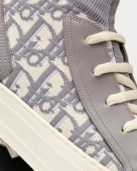 Walk'N'Dior Gray Dior Oblique Technical Mesh Low Top Sneakers