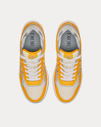 B27 Gold-Tone Smooth Calfskin and Dior Oblique Jacquard Low Top Sneakers