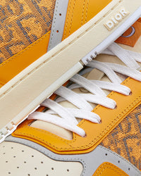 B27 Gold-Tone Smooth Calfskin and Dior Oblique Jacquard Low Top Sneakers