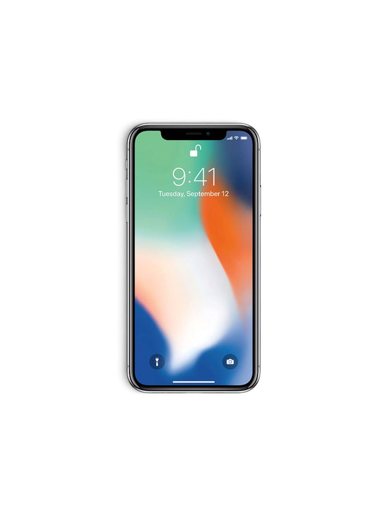 iPhone X