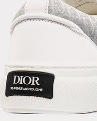 B33 Calfskin & Dior Oblique Canvas White / Grey Low Top Sneakers