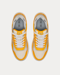 B27 Gold-Tone Smooth Calfskin and Dior Oblique Jacquard Low Top Sneakers View 2