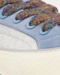 B33 Gray and White Dior Oblique Jacquard and Blue Suede Low Top Sneakers