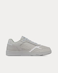 B27 Grained Calfskin & Dior Gravity Leather Grey Low Top Sneakers