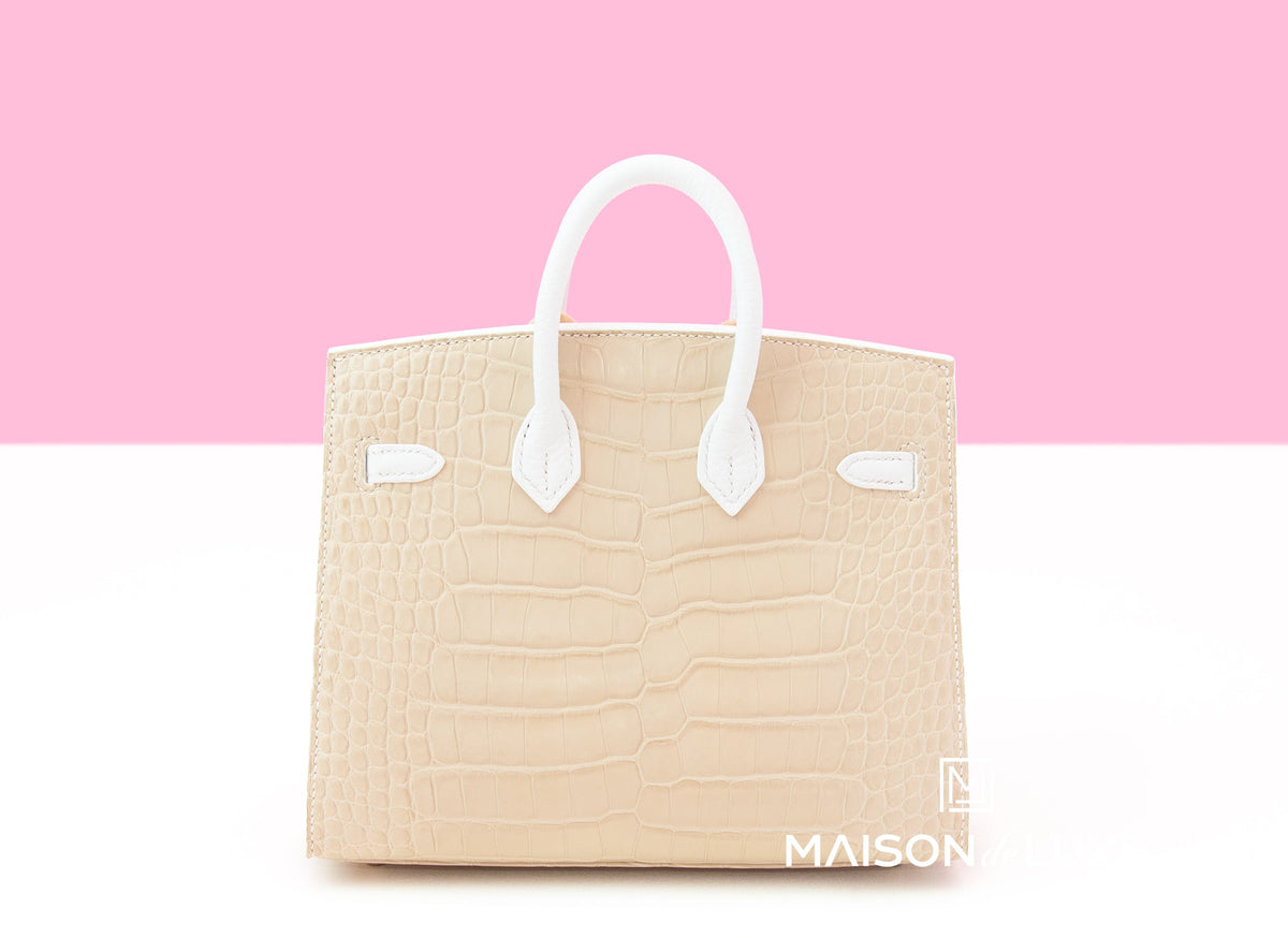 Neige Faubourg Birkin 20 White Matte Alligator Handbag