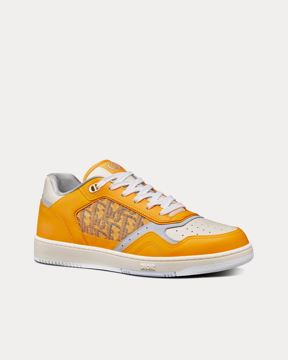 B27 Gold-Tone Smooth Calfskin and Dior Oblique Jacquard Low Top Sneakers